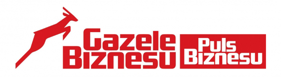 Gazele Biznesu 2013